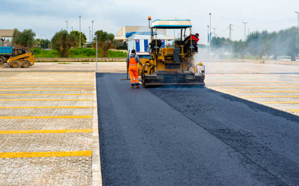 Best Driveway Grading and Leveling  in Vidor, TX